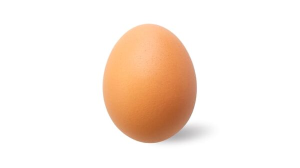 Egg
